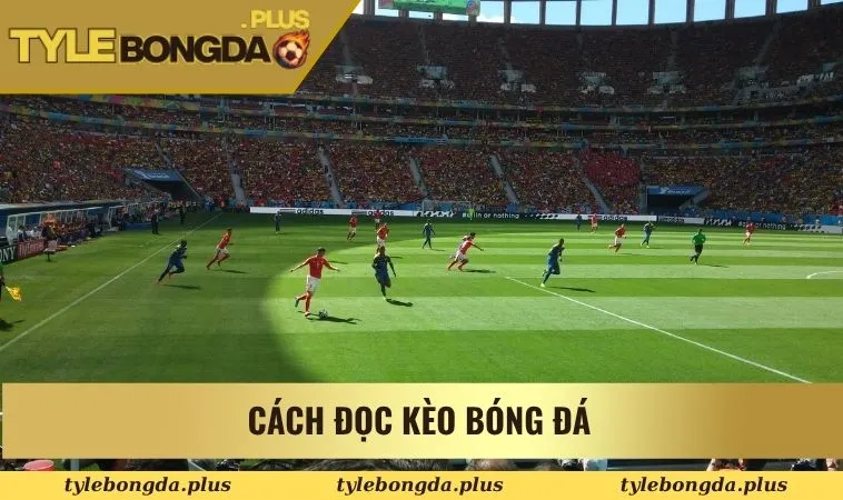 cách đọc kèo bóng đá