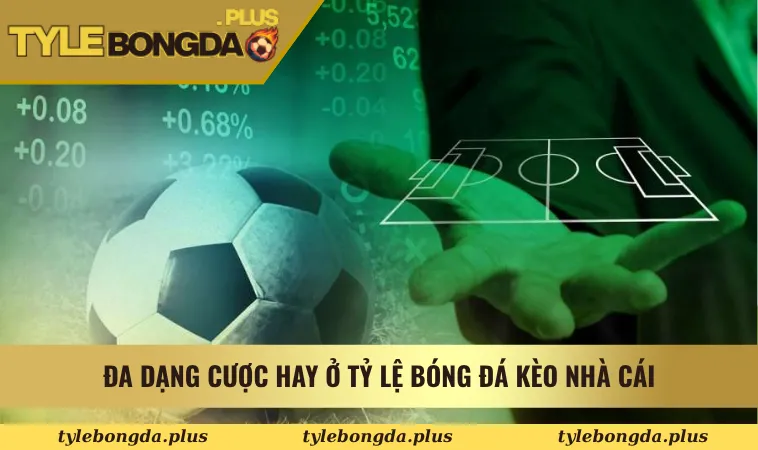 Tỷ Lệ Bóng Đá Kèo Nhà Cái - Tỷ Lệ Kèo Nhà Cái 5 - Tỷ Lệ Kèo 11 Đa dạng cược hay ở Tỷ Lệ Bóng Đá Kèo Nhà Cái