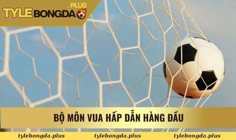 Giới thiệu 2 Bộ môn vua hấp dẫn hàng đầu