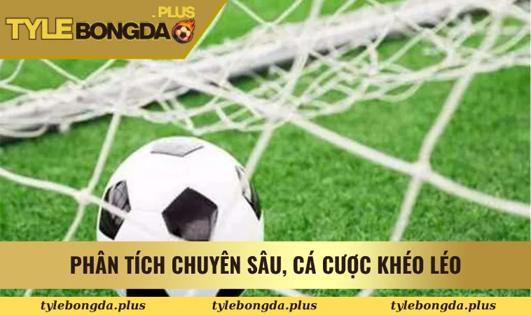 bảng xếp hạng 3 Phân tích chuyên sâu, cá cược khéo léo