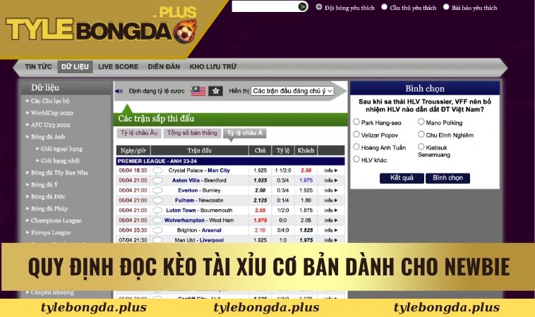 Quy định đọc kèo tài xỉu cơ bản dành cho newbie