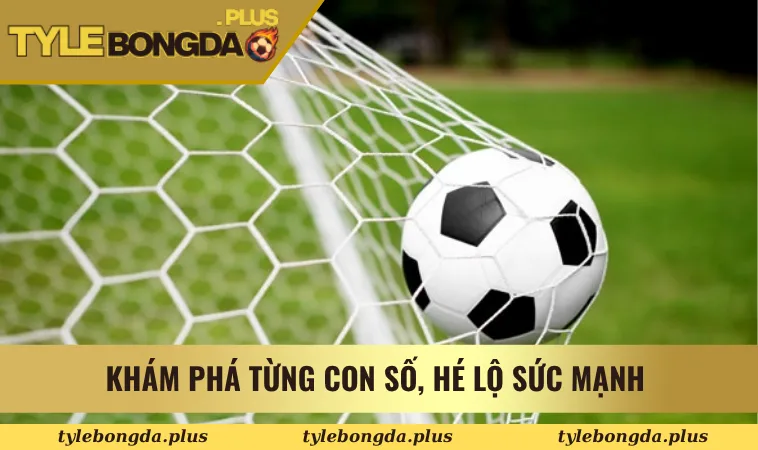 bảng xếp hạng 2 Khám phá từng con số, hé lộ sức mạnh